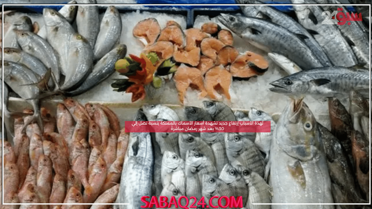 لهذة الأسباب إرتفاع جديد تشهدة أسعار الأسماك بالمملكة بنسبة تصل إلي 30% بعد شهر رمضان مباشرةً